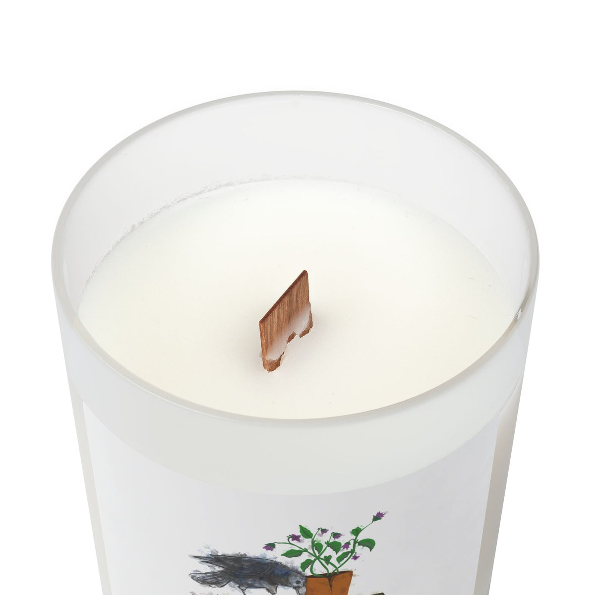 A Literary Conspiracy Frosted Glass Candle, 11oz